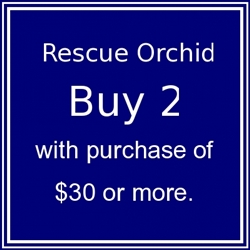 2 Rescue Orchid with purchase of $30 or more.