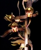 Cymbidium sinense 'Si Gang Shui'