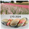 Artyarns Inspirations LYS Day 2024