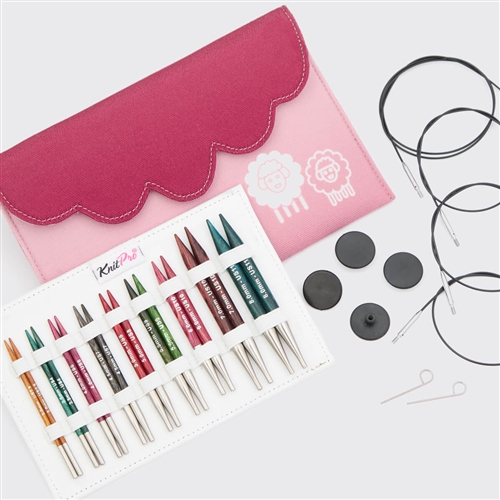 Dreamz Special 16" Interchangeable Knitting Needle Set