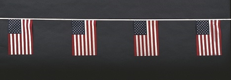 American Pennants - Cloth