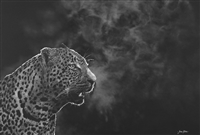 Awakening- Leopard - White Charcoal on Black Paper Original by James Hitchins