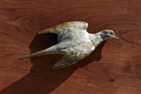 High Flyer - Single Morning Dove In Flight Bronze Wall Mounted - Edition Limited to 40