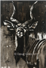 Nyala Bull - Oil On Canvas Original by Doug Giles