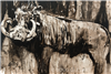 Raw Africa - Warthog  -  Oil On Canvas Original by Doug Giles
