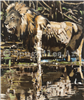 Simba In The Swamp - Oil On Canvas Original by Doug Giles