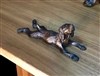 Spaniel Sprawl Mini-Stretchy Boykin Spaniel Bronze Sculpture