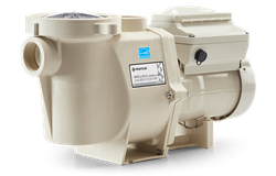 Pentair IntelliFlo VSF Variable Speed Pool Pump 011056