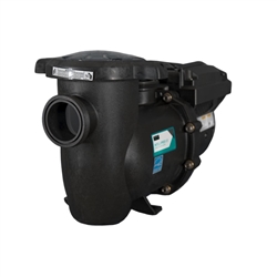 Sta-Rite IntelliPr3 VSF Variable Speed Pump 013075