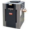 Raypak 017374 Pool Spa Heater Digital  Gas Heater
