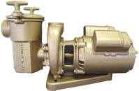 Val-Pak 2.0 HP 208-230/460 2" Suction 11520000