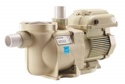 Pentair SuperFlo Variable Speed Pump 342002