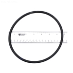 Aqua-Flo AC Series Trap Cover O-Ring 6" 92200010S 