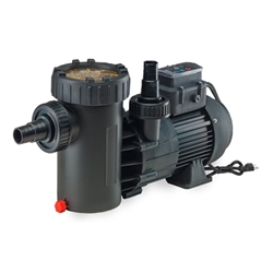 Speck E71-II VSP 1.1 THP Dual Voltage Variable Speed Pool Pump