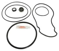 Whisperflo Intellipro Pump Seal Kit