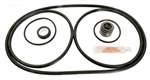 Pac Fab Challenger Pump Seal Kit