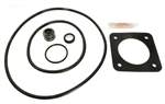 Sta-Rite DuraGlass MaxeGlass Pump Seal Kit