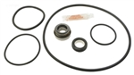 Jandy Seal Kit APCK1181