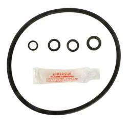 Hayward CL200 oring kit