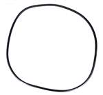 Pentair FNS Filter O-Ring 195008