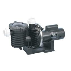 StaRite MaxEPro Pool Pump P6RA6E-205L