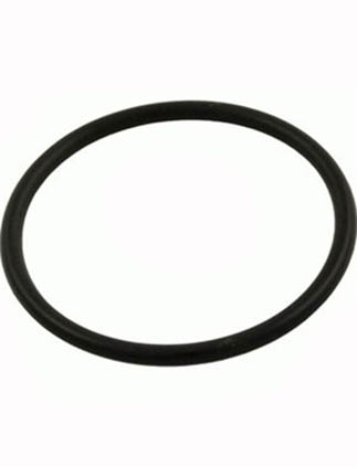 Val-Pak Pinnacle & Challenger Pump Lid O-Ring V36-191