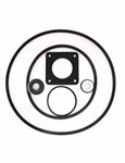 Pentair Ultra-Flow Seal Kit (Seal, Gasket & O-Rings)  V38-144