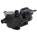 Hayward W3SP3206VSP Pool Pump