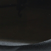 GLOSSY black wood sample (5" x 5")