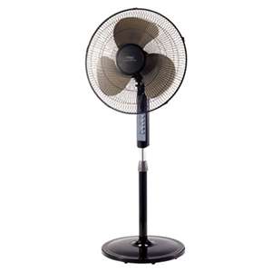 LAKEWOOD ENGINEERING CO. 16" Remote Control Stand Fan, Three Speeds, Black