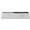 LOGITECH, INC. Wireless Solar Keyboard for Mac, Full Size, Silver