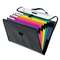 ESSELTE PENDAFLEX CORP. Desk Free Hanging 6-Pocket Organizer w/Case, 1/3 Tab, Letter, Poly, Asstorted