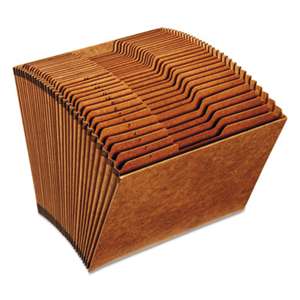 ESSELTE PENDAFLEX CORP. Heavy-Duty Expanding Open Top File, 31 Pockets, 1/3 Tab, Letter, Brown