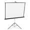 QUARTET MFG. Portable Tripod Projection Screen, 60 x 60, White Matte, Black Steel Case