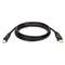 TRIPPLITE USB 2.0 Gold Cable, 10 ft, Black