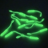 Glow Stick Green 2" Paddle