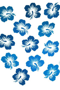 Twelve Hibiscus White with Blue Flowers
