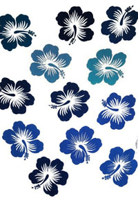 Twelve Hibiscus White with Black and Blue Flowers