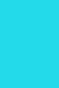 Turquoise - Solid