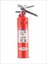 2.5lb BC Fire Extinguisher with Vehicle bracket