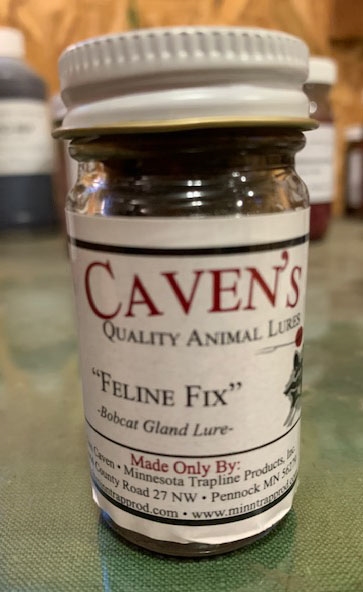 Caven's Feline Fix