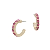Hot Pink Crystal and Gold .75" Hoop Earring