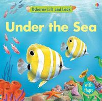 Lift and Look Under the Sea