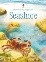 Seashore (Young Beginners)