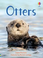 Otters (Beginners)