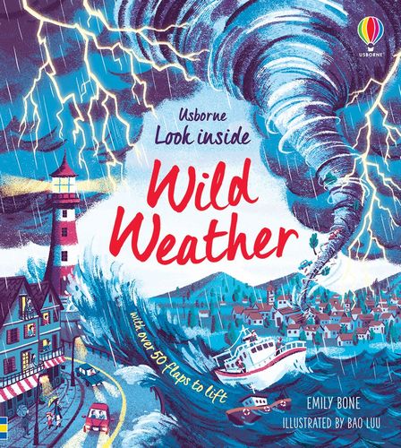 Look Inside Board Books Look inside Wild Weather