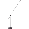 DPA Microphones 4011FGS Cardioid Microphone with 120cm Boom Floor Stand