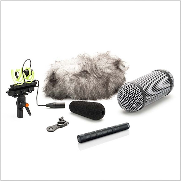 DPA 4017CR, d:dicate Super Cardioid Shotgun Microphones MMP-C Preamplifier with Rycote windshield