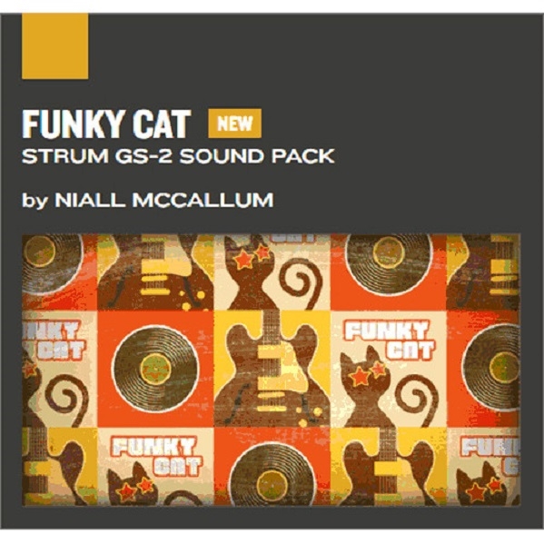 Applied Acoustics Systems funky Cat Strum GS-2 Sound Pack Plug-In

