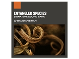 Entangled Species, Applied Acoustics Systems